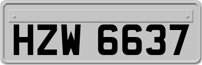 HZW6637