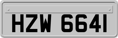 HZW6641