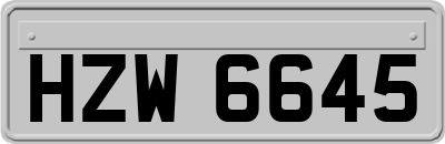 HZW6645