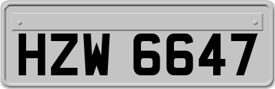 HZW6647