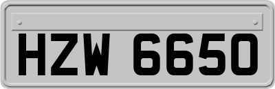 HZW6650