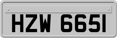 HZW6651