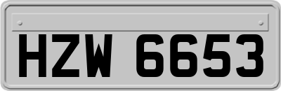 HZW6653