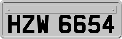 HZW6654