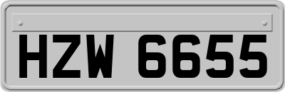 HZW6655