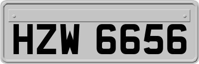 HZW6656