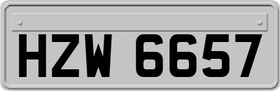HZW6657
