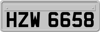 HZW6658