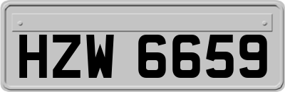 HZW6659