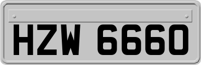 HZW6660