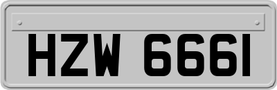 HZW6661