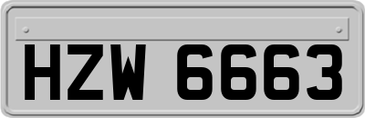 HZW6663
