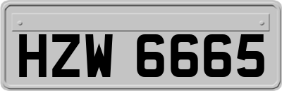 HZW6665