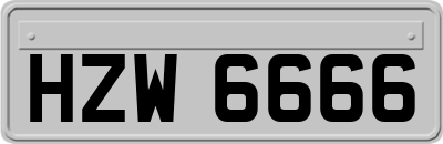 HZW6666