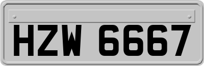 HZW6667