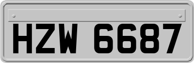 HZW6687