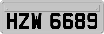 HZW6689