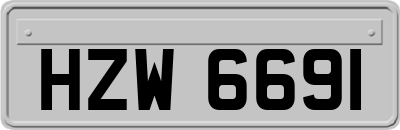 HZW6691