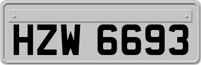 HZW6693