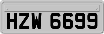 HZW6699