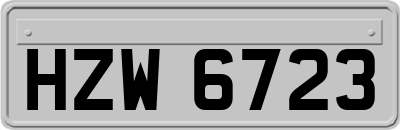 HZW6723