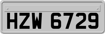 HZW6729