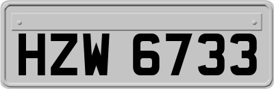 HZW6733