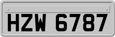HZW6787