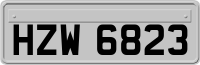 HZW6823