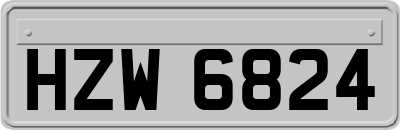 HZW6824