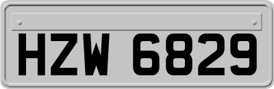 HZW6829