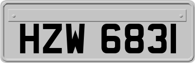 HZW6831