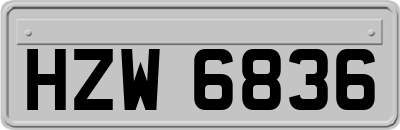 HZW6836