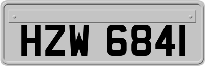 HZW6841