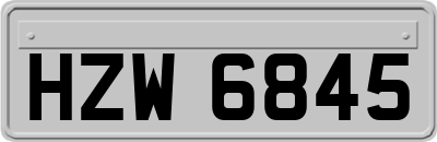 HZW6845