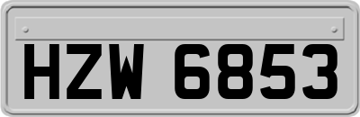 HZW6853