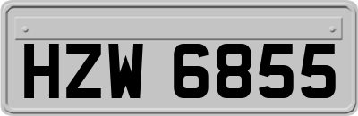 HZW6855