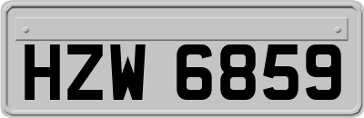 HZW6859