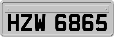 HZW6865