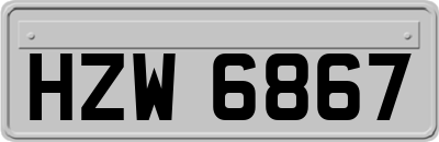 HZW6867
