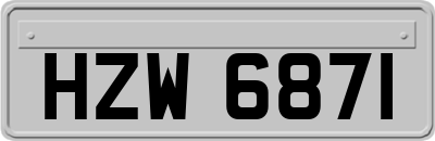 HZW6871