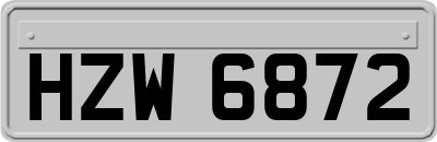 HZW6872