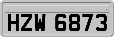 HZW6873