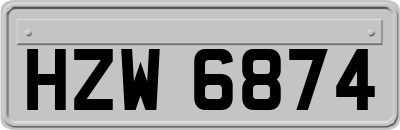 HZW6874