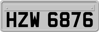HZW6876