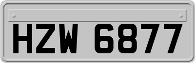 HZW6877