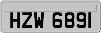 HZW6891