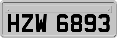 HZW6893