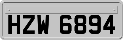 HZW6894