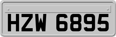 HZW6895